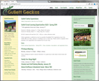 Gullet Geckos